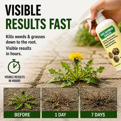 2026 SALE🎖 - Fast-Acting Natural Weed & Grass Killer Spray