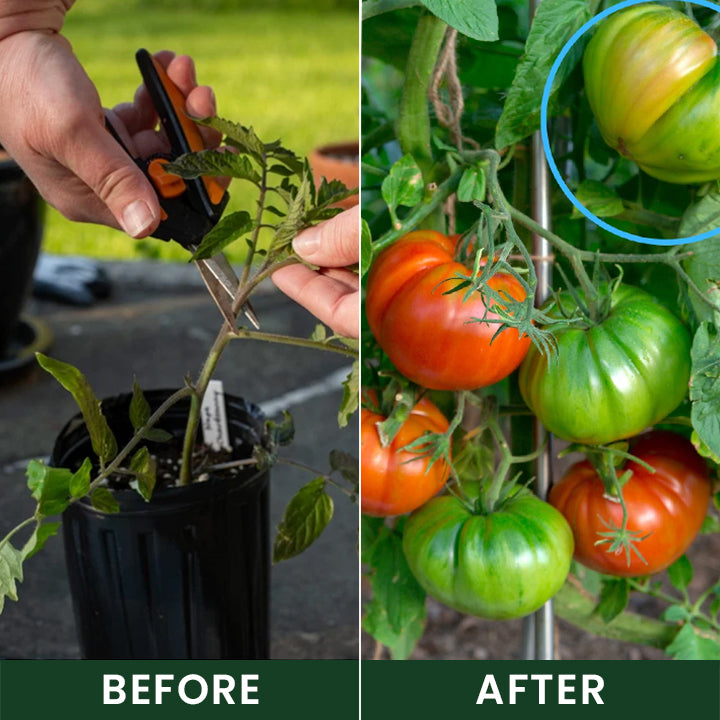 Official US Store  Universal Plant Nutrient Solution